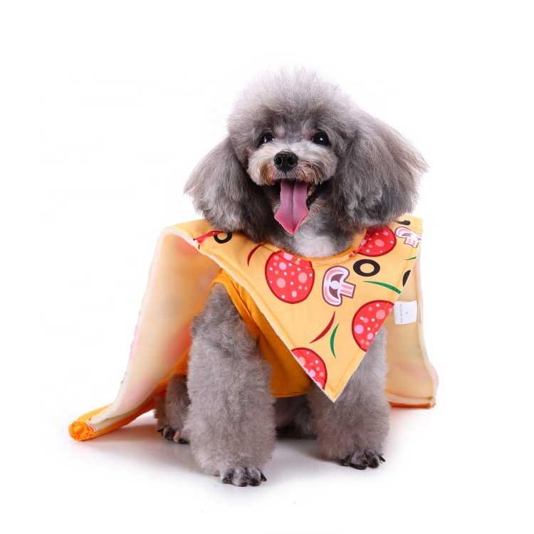 Winter Dog Clothes Warm Polyester Spring Autumn Leisure Small Puppy Fancy Dogs Pet Clothes 