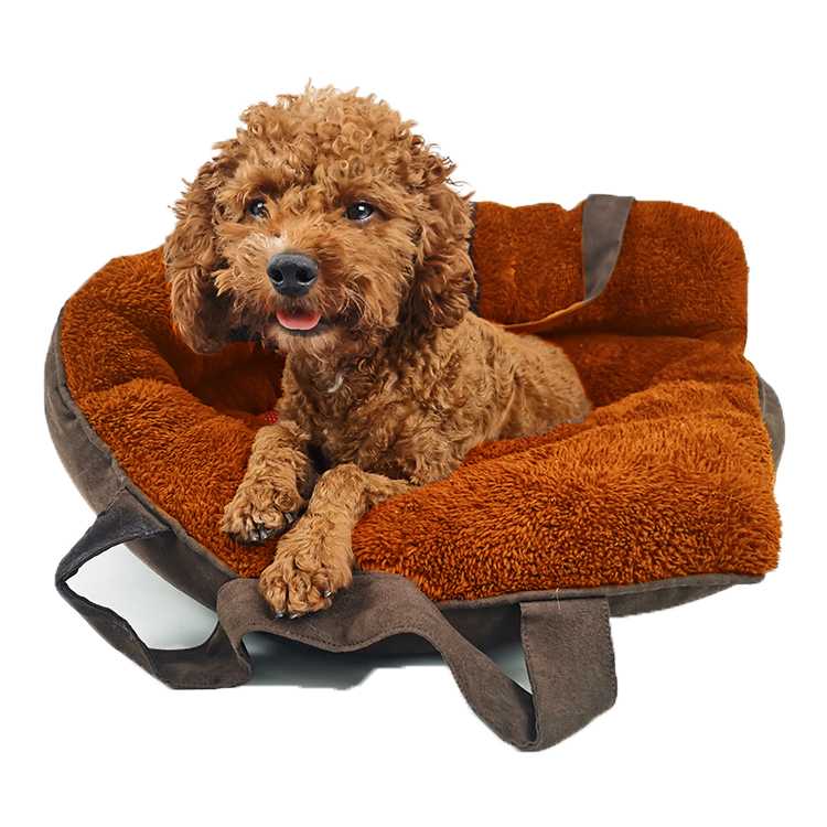 Yangyang Pet Outdoor Travel Portable Elevated Camping Handle Tape Belt Dog Bed