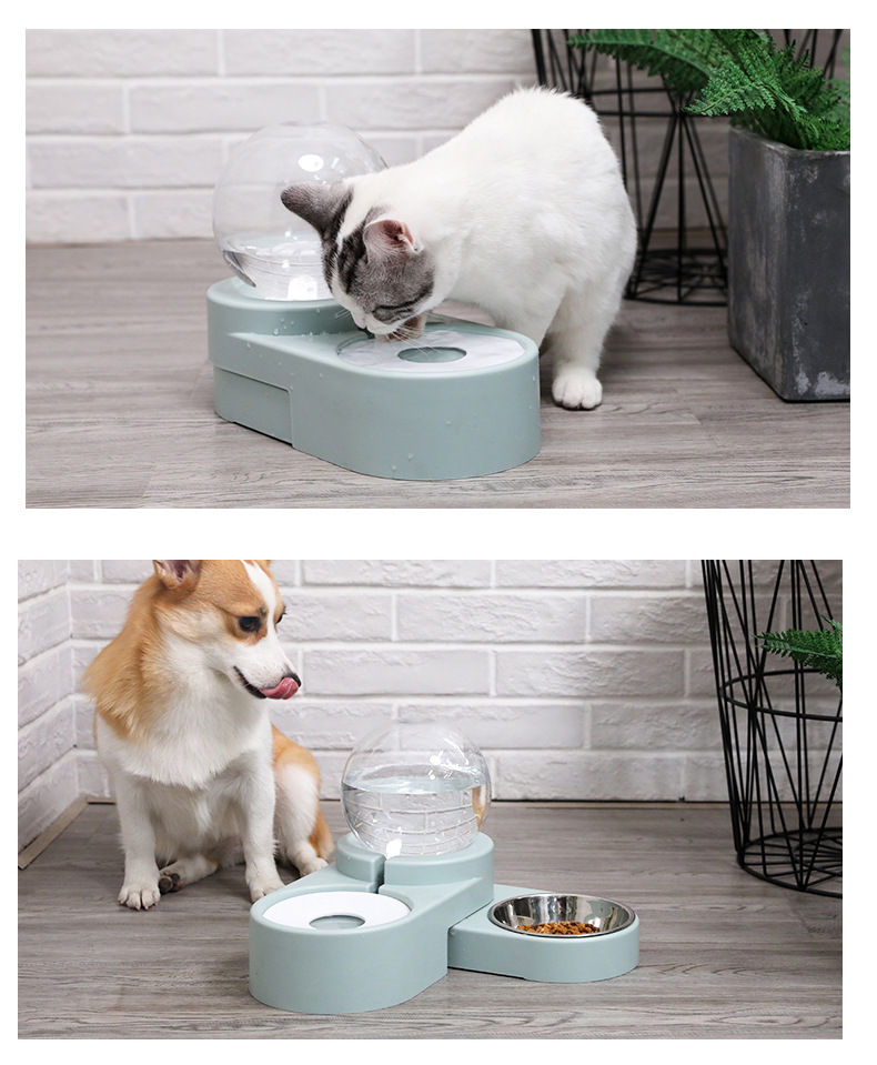 2 In 1 Pet Food Water Feeder Double Cat Bowl Dog Automatic Water Dispenser With Ball Water Container