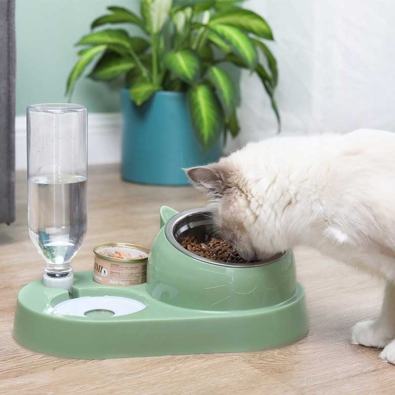 4in1 Cat Dog Bowl Automatic Feeder Pet Food With Water Dispenser 15 Degrees Tilted Stainless Steel Puppy Feeding Tool