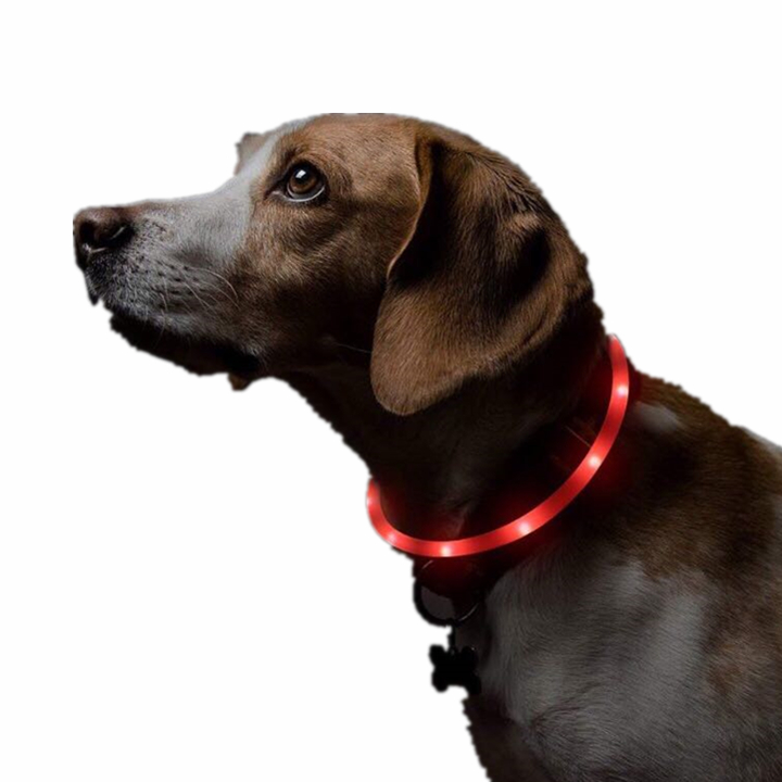 Adjustable Comfortable LED Dog Collar Pet Collar Puppy Safty Collar