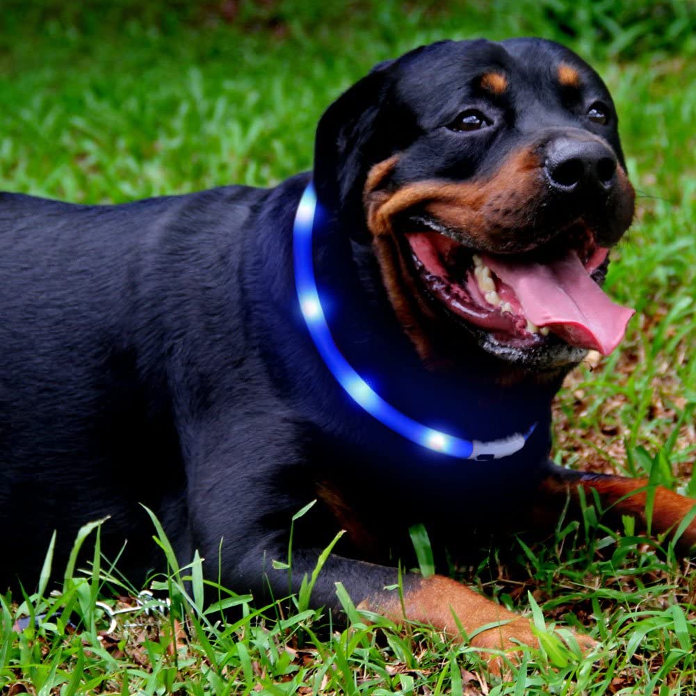 Adjustable Comfortable LED Dog Collar Pet Collar Puppy Safty Collar
