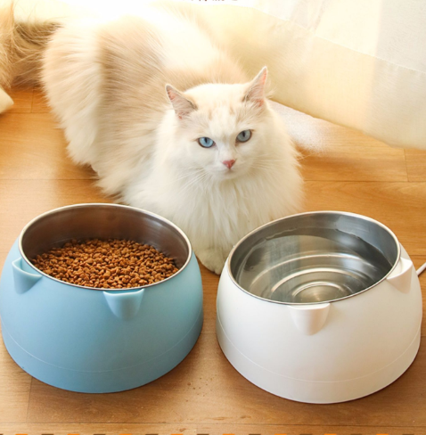 Amazon Ing Pet 304 Stainless Steel Bowl Cat Bowl Stainless Steel Dog Bowl