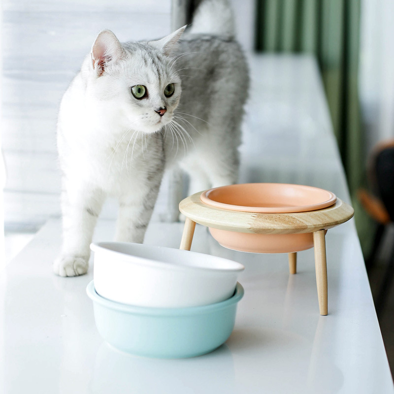 Amazon Top Seller INS Cat Bowl Basin Cat Dog Food Bowl To Feed Water Ceramic Pet Dog Bowl Private Label