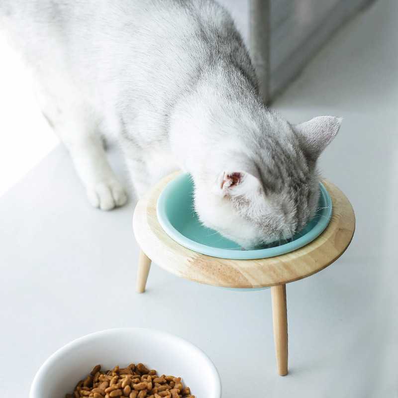 Amazon Top Seller INS Cat Bowl Basin Cat Dog Food Bowl To Feed Water Ceramic Pet Dog Bowl Private Label