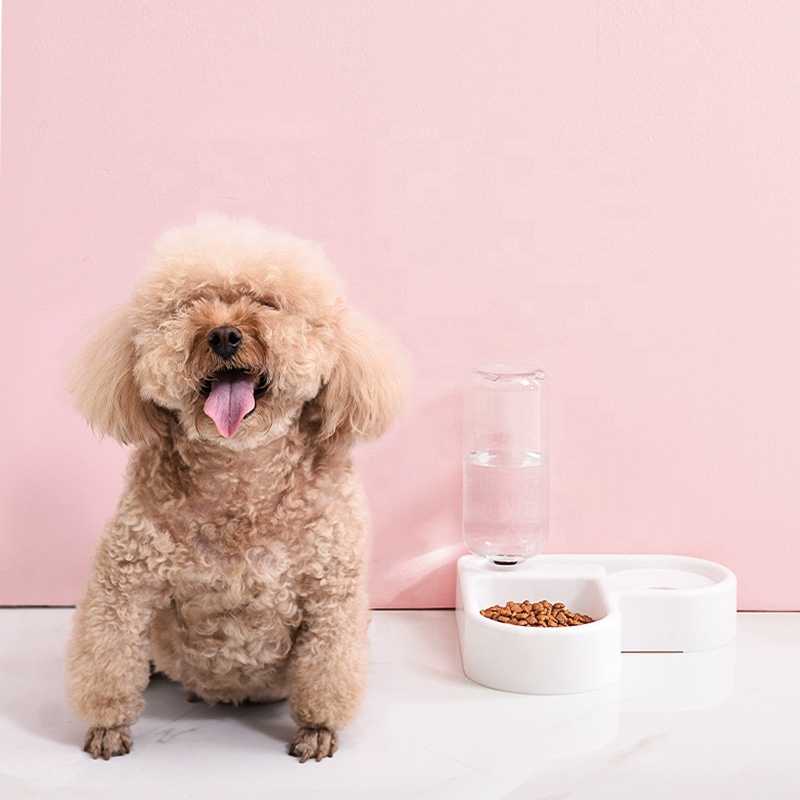 Automatic Water Bottle Dispenser Portable Dog Cat Food Water Dispenser Feeding Bowl With Heart Shape