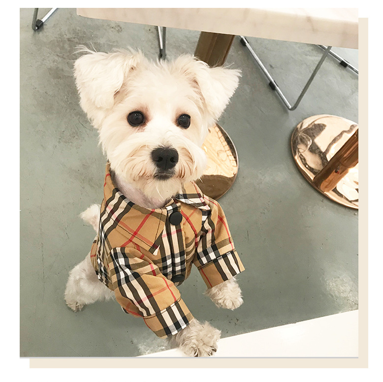 Autumn Winter Pet Clothes Dog Tshirt Plaid Shirt Teddy Bichon Schnauzer Pet Clothing