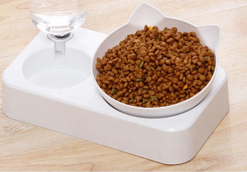Biumart Pet Bowl Automatic Feeder Dog Cat Food Bowl With Water Dispenser Double Bowl Drinking Raised Stand