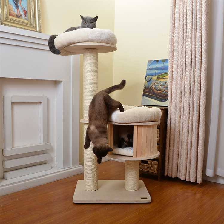 Cat Tree Designs Cat Scratcher Tree Tower Condo