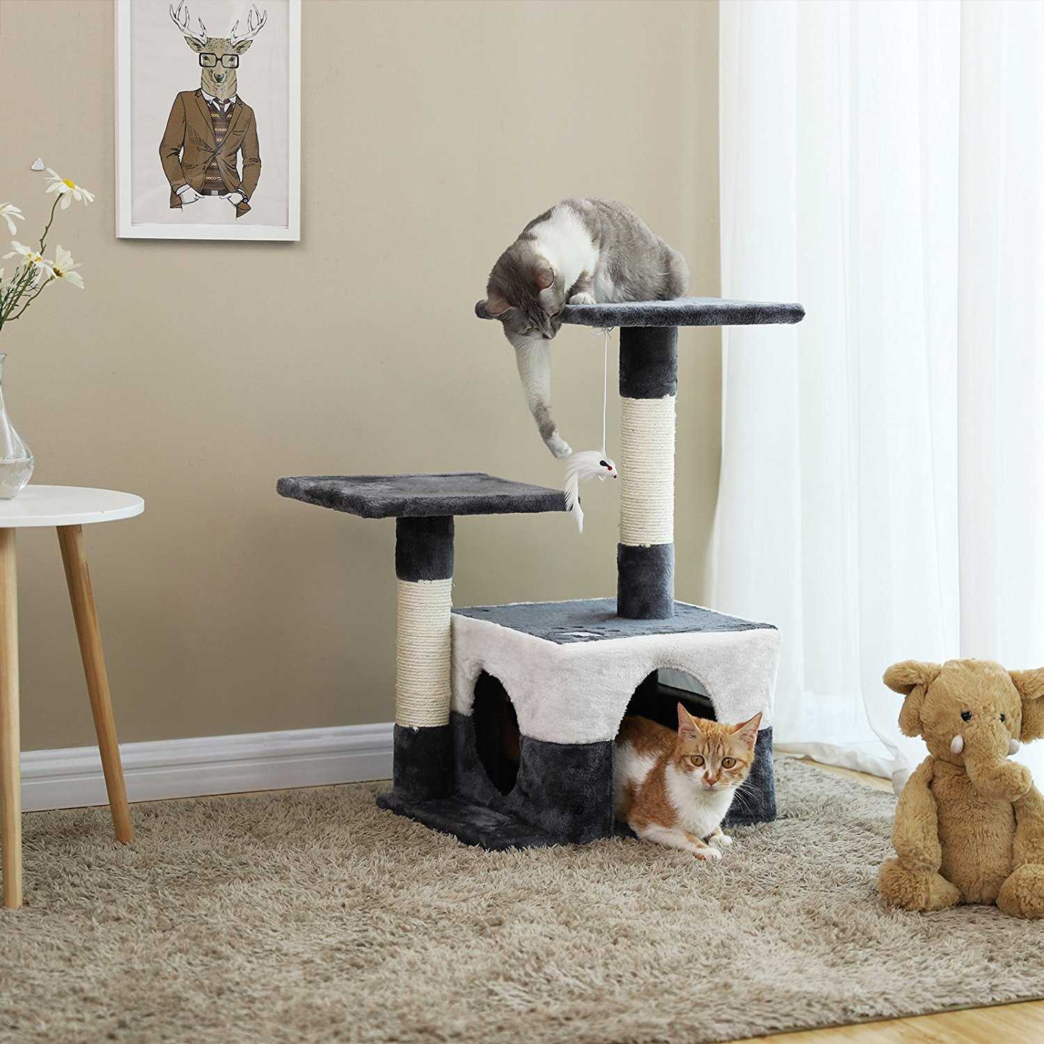 Cat Trees Scratching Post Pet Cat Climbs A Frame Kitten