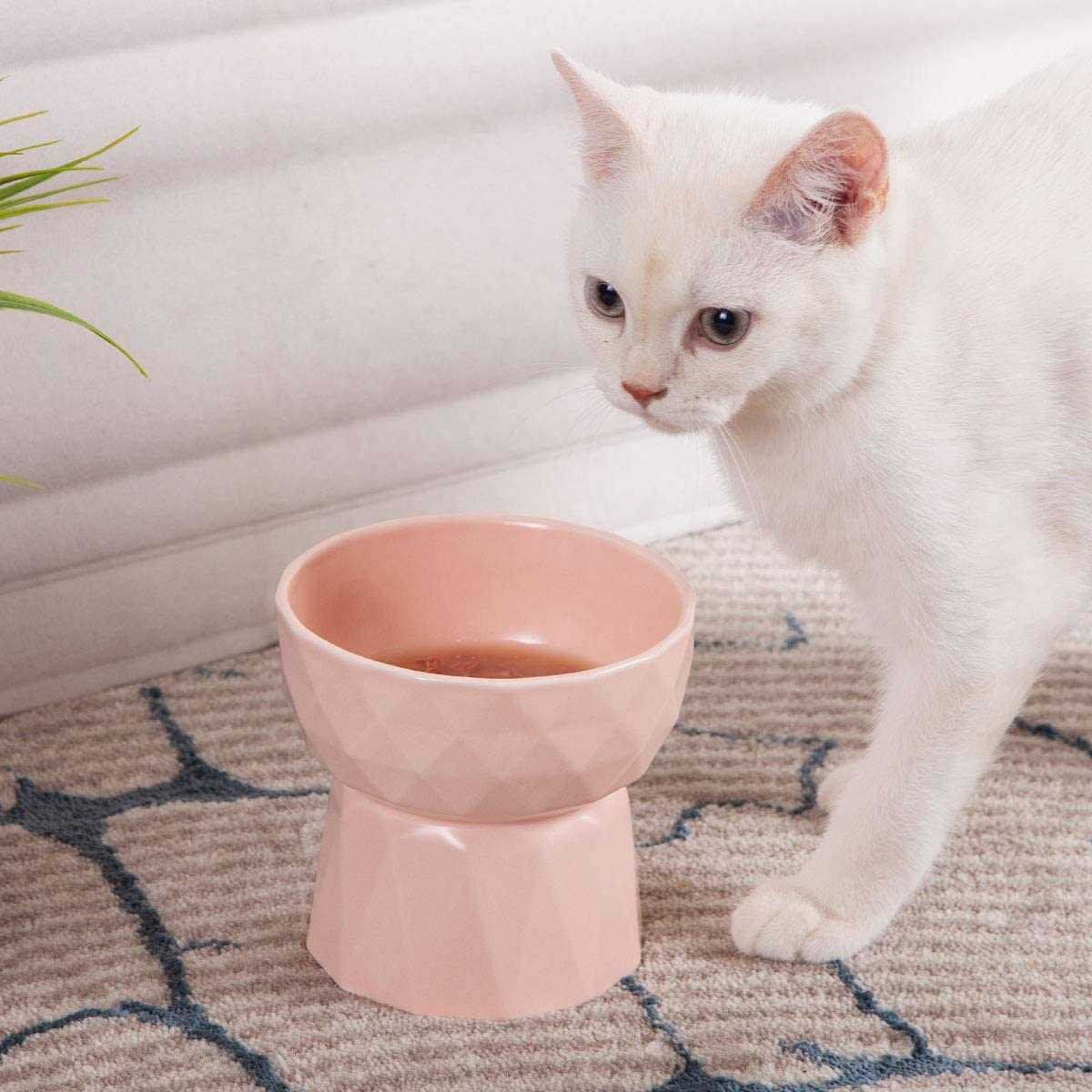 Ceramic Cat Dish Food Bowl Pet Feeder Kitty Eating Stress