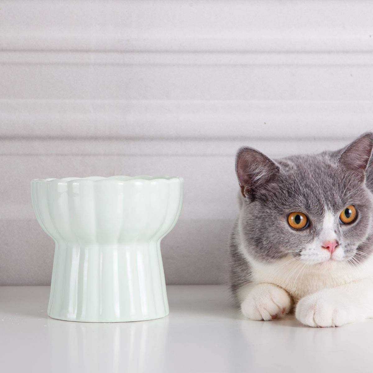 Ceramic Cat Dish Food Bowl Pet Feeder Kitty Eating Stress