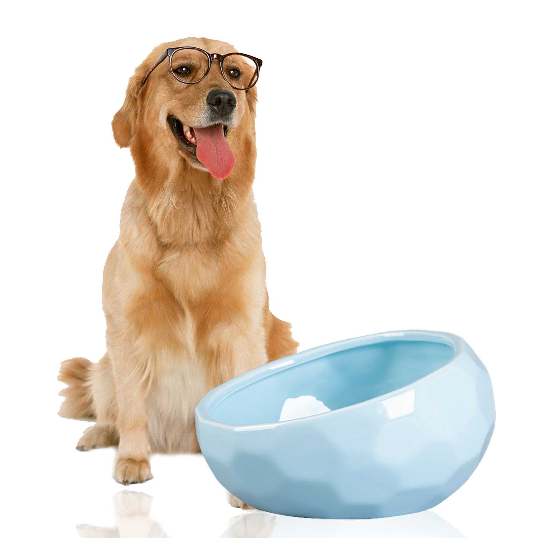 Ceramic Dog Bowls Animal Pet Food Bowl Dog Water Dish Wet Food Dry Food Water Bowl Food Bowl Dog Cat