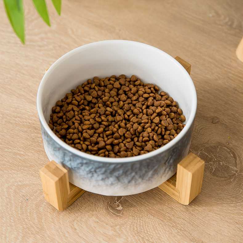 Ceramic Elevated Pet Bowls Raised Double Food Water Bowl Set Dog Small Dogs With Wood Stands Eco Friendly Cat Bowl