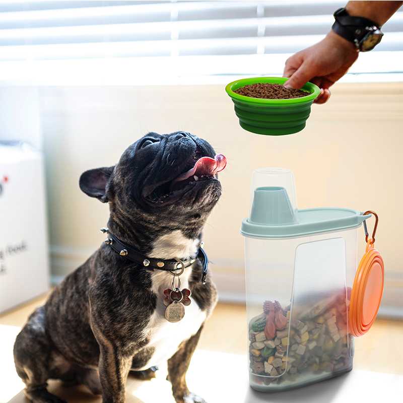 Citylife Custom Collapsible Foldable Silicone Puppy Dog Food Water Bowel Travel Camping Pet Feeder Cat Dog Bowl