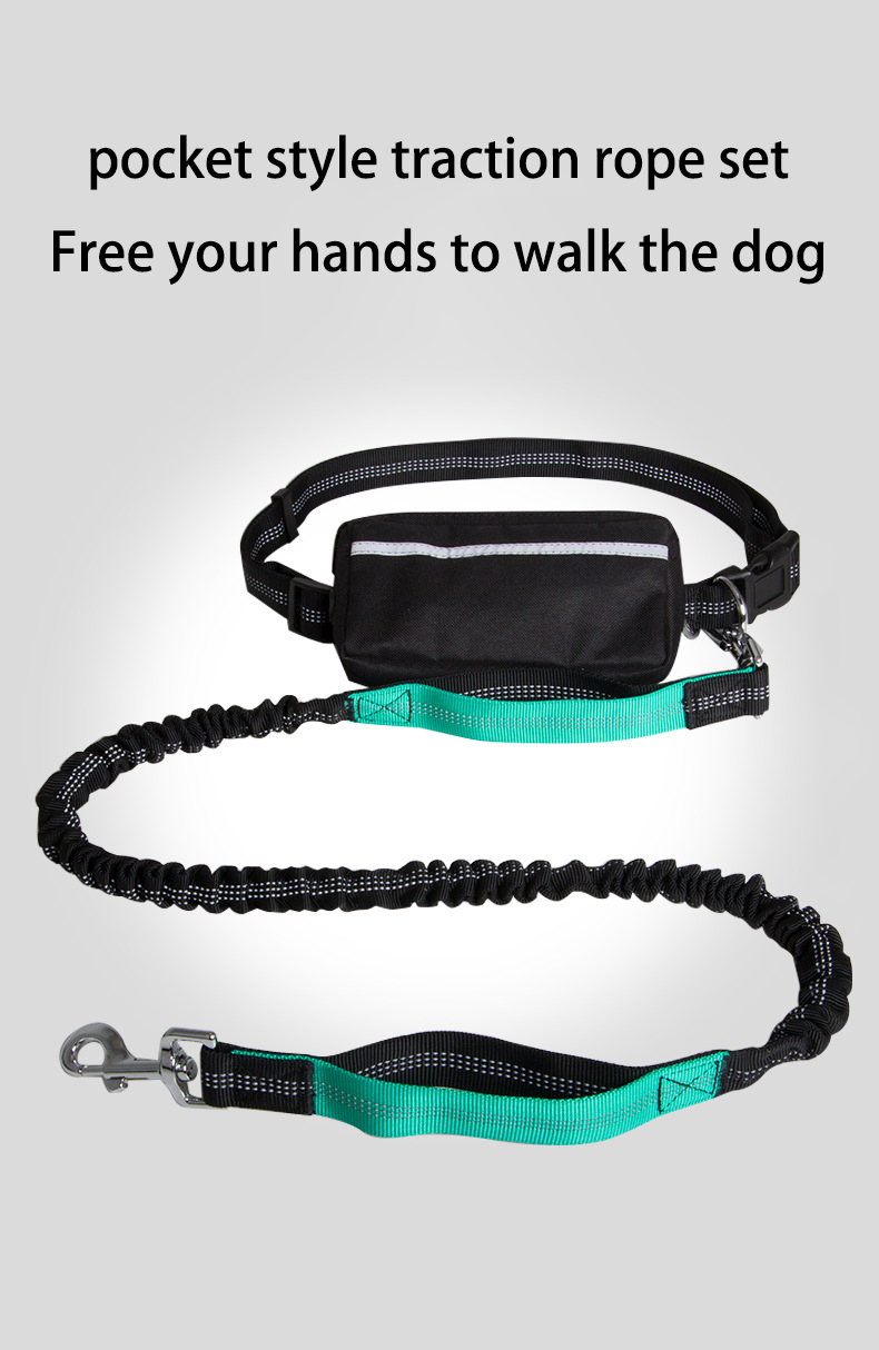 Costeffective Easily Store Access Smartphone Green Pet Walking Leash