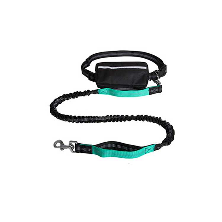 Costeffective Easily Store Access Smartphone Green Pet Walking Leash