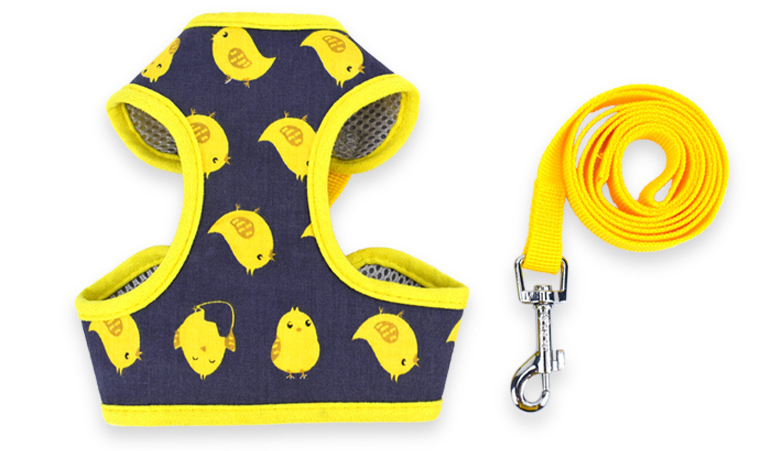 Crossborder Pet Harness Leash Amazon Cartoon Small Dog Dog Veststyle Breathable Comfortable Chest Strap
