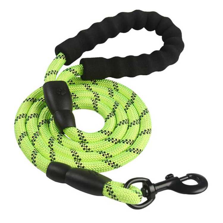 Custom Direct Sales Foam Cotton Nylon On Amazon Pet Leash Big Dog