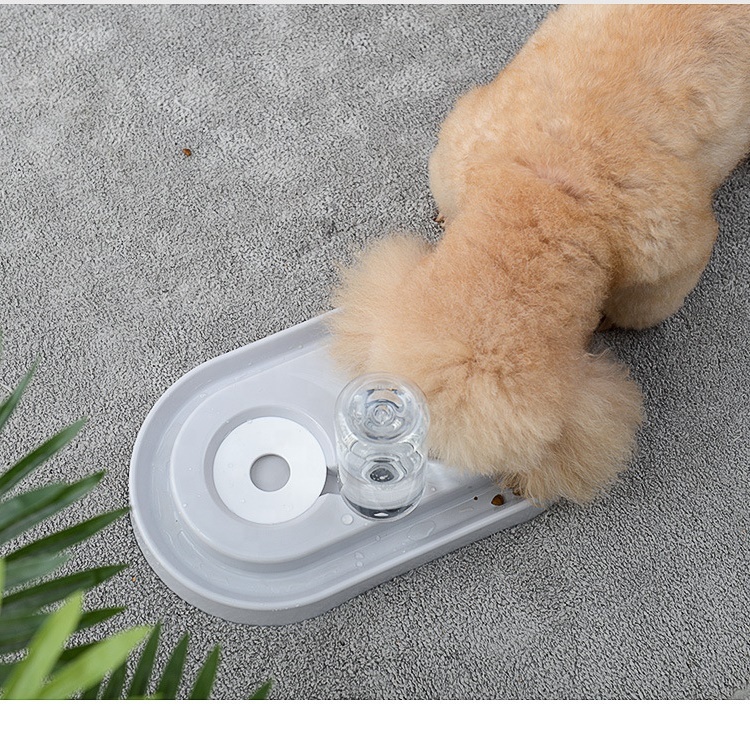 Custom Logo Dog Food Bowls Food Dish Stainless Steel Pet Bowls Dogs