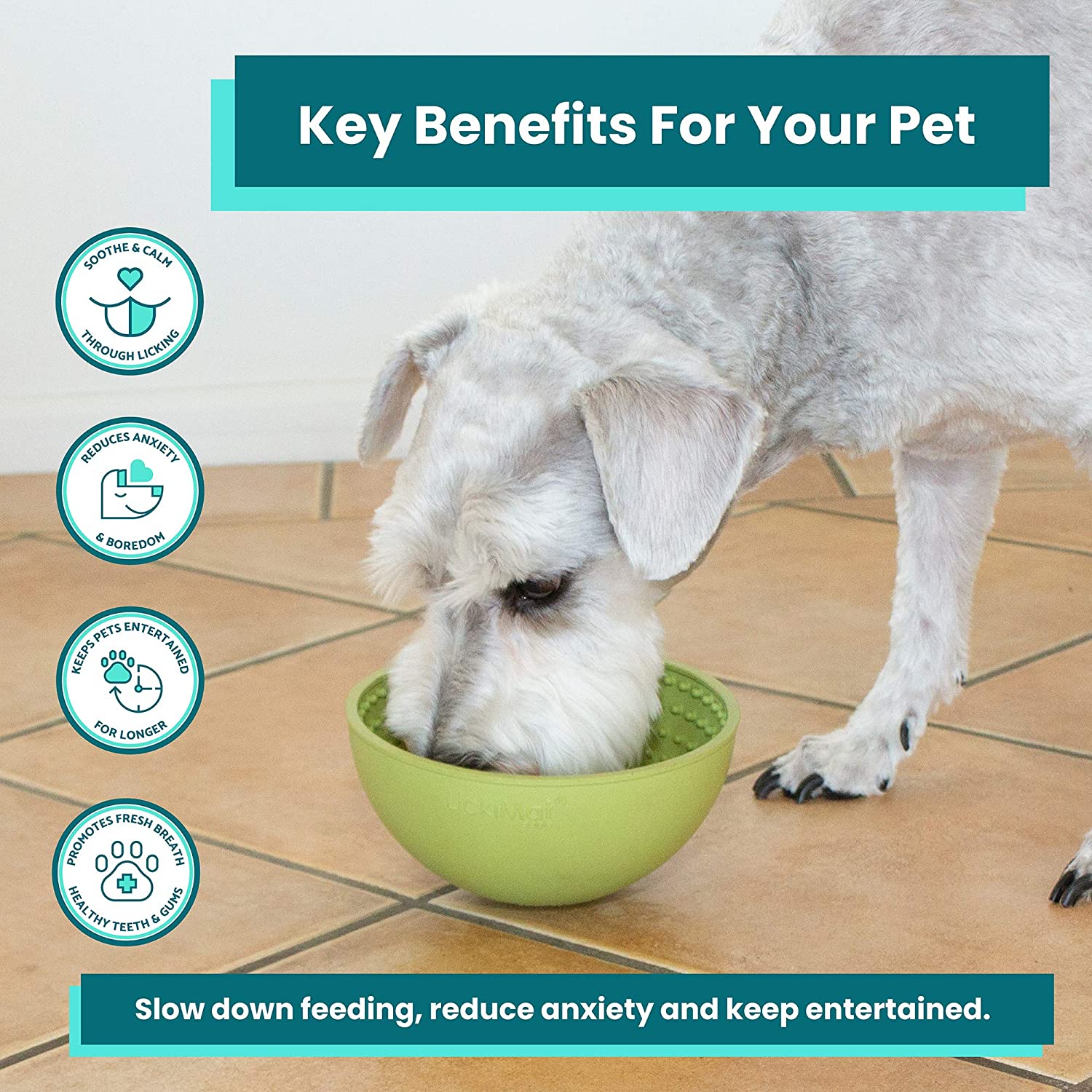 Custom Silicone Oral Health Dog Slow Feeder Bowls Dog Lick Bowl Boredom Anxiety Reduction