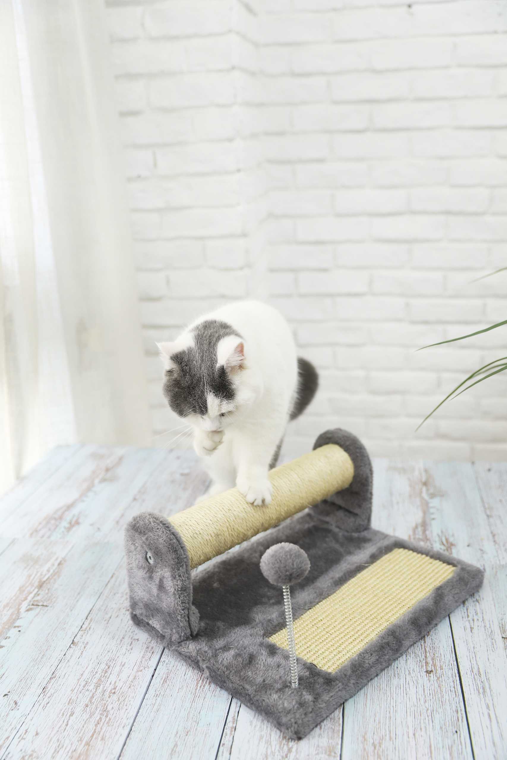 Customized Simple Small Cat Play Tree Scratcher