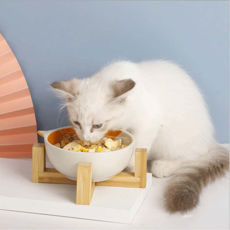 Cute Binaural Cartoon Animal Printed Cat Bowl Dog Feeder Wooden Stand Ceramic Pet Bowl