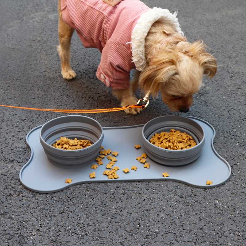 Dog Cat Bowls Double Dog Food Water Bowls With NoSpill NoSkid Silicone Mat Pet Feeder Bowls Puppy Kittens