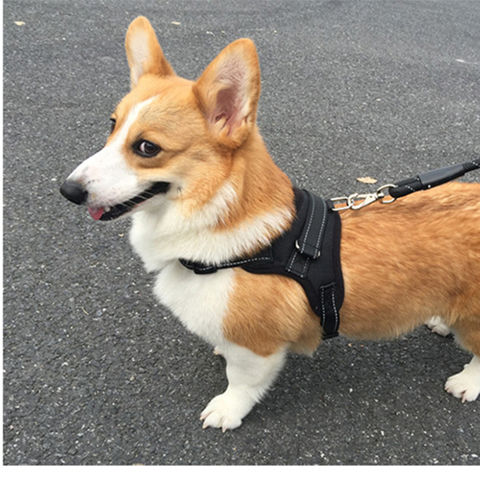 Dog Harness NoPull Pet Harness Adjustable Outdoor Pet Vest Reflective Vest Dogs Easy Control