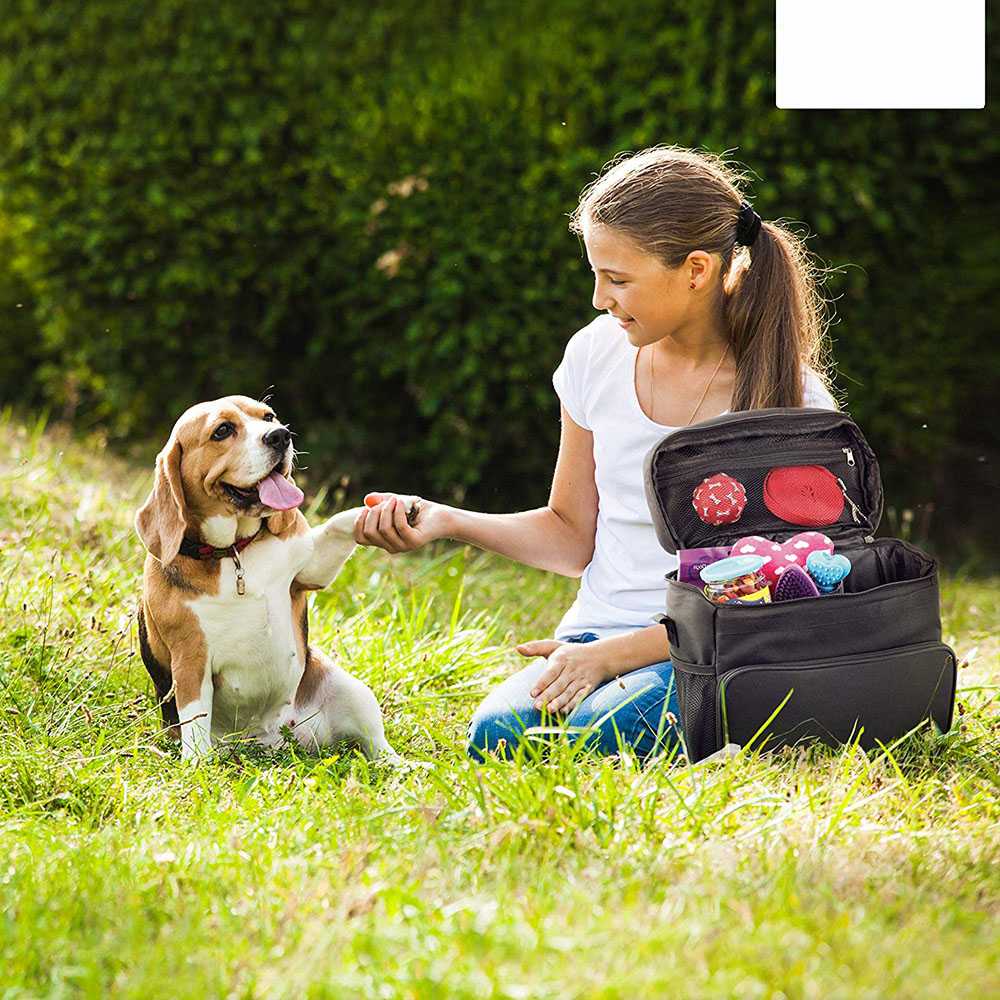 Dog Travel Bag Accessories Supplies Organizer Shoulder Strap Pet Food Containers Feeding Bowls