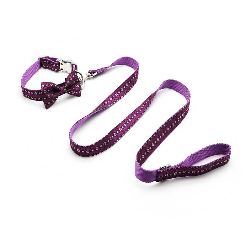 Dot Print Cute Pet Cord Lead Dog Collar Leash Set Personalized