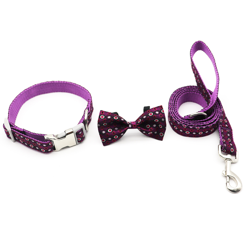 Dot Print Cute Pet Cord Lead Dog Collar Leash Set Personalized