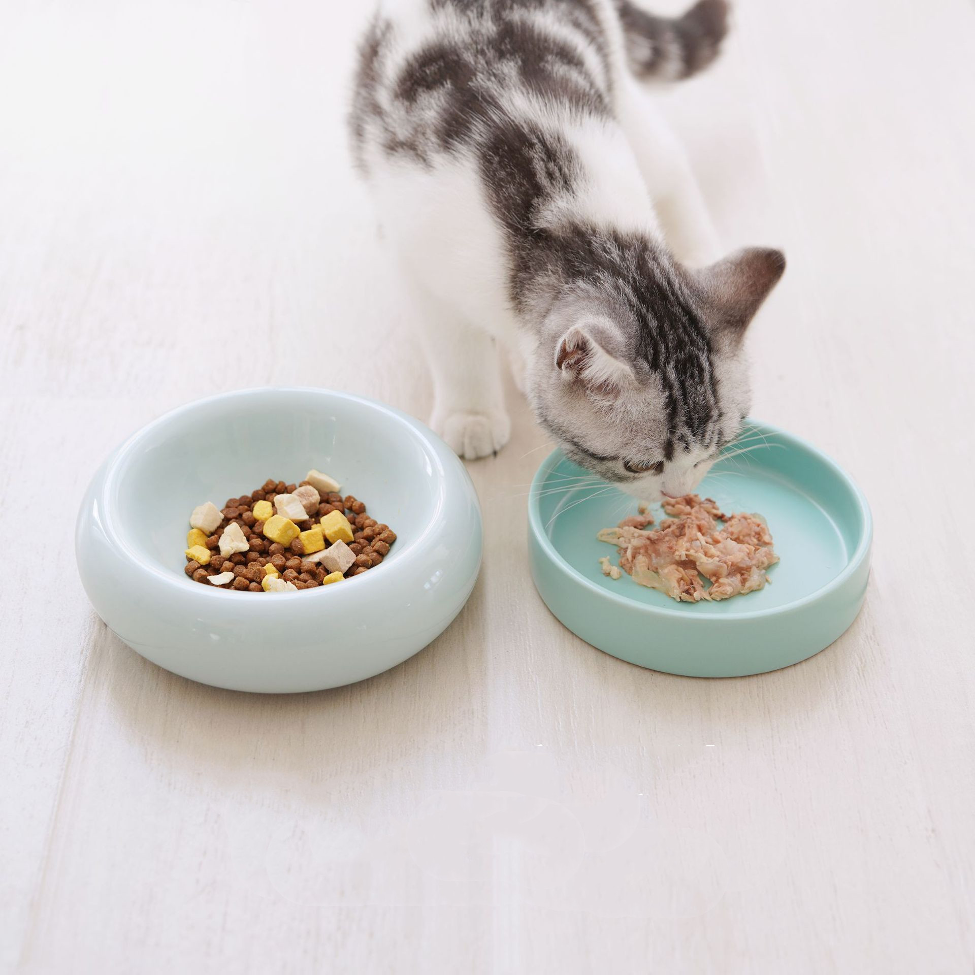 Durable Elevated Ceramics Pet Bowl Arbitrary Combination Dog Food Feeder
