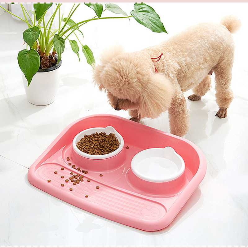 Eco Friendly Material Big Pet Food Tray Double Bowls Food Water Bowls