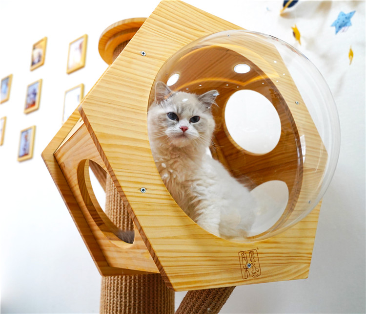 Hand Knitting Morden Hexagon Wooden Cave Cats Kittens Furniture Cat Tree With Acrylic Window