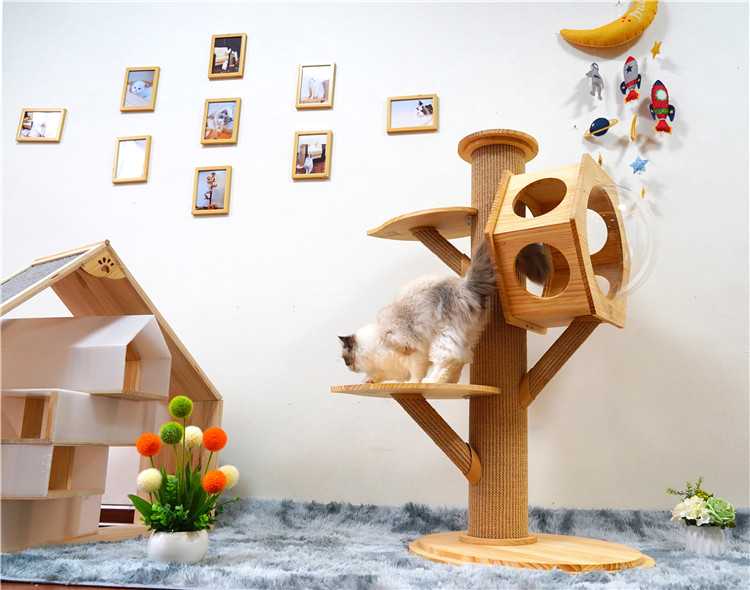 Hand Knitting Morden Hexagon Wooden Cave Cats Kittens Furniture Cat Tree With Acrylic Window