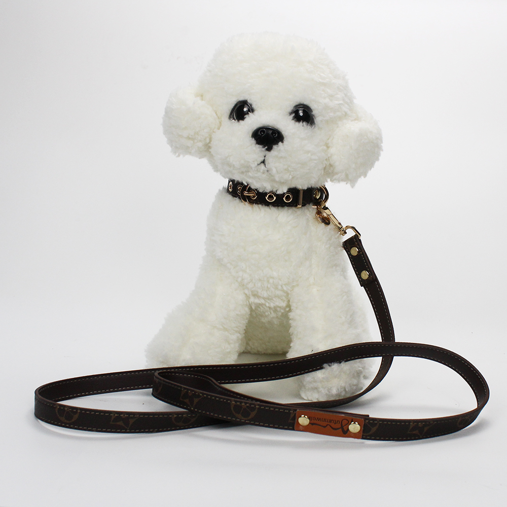 Ing Tear Proof Durable Designers Leather Pet Dog Collar Leash With Golden Tag