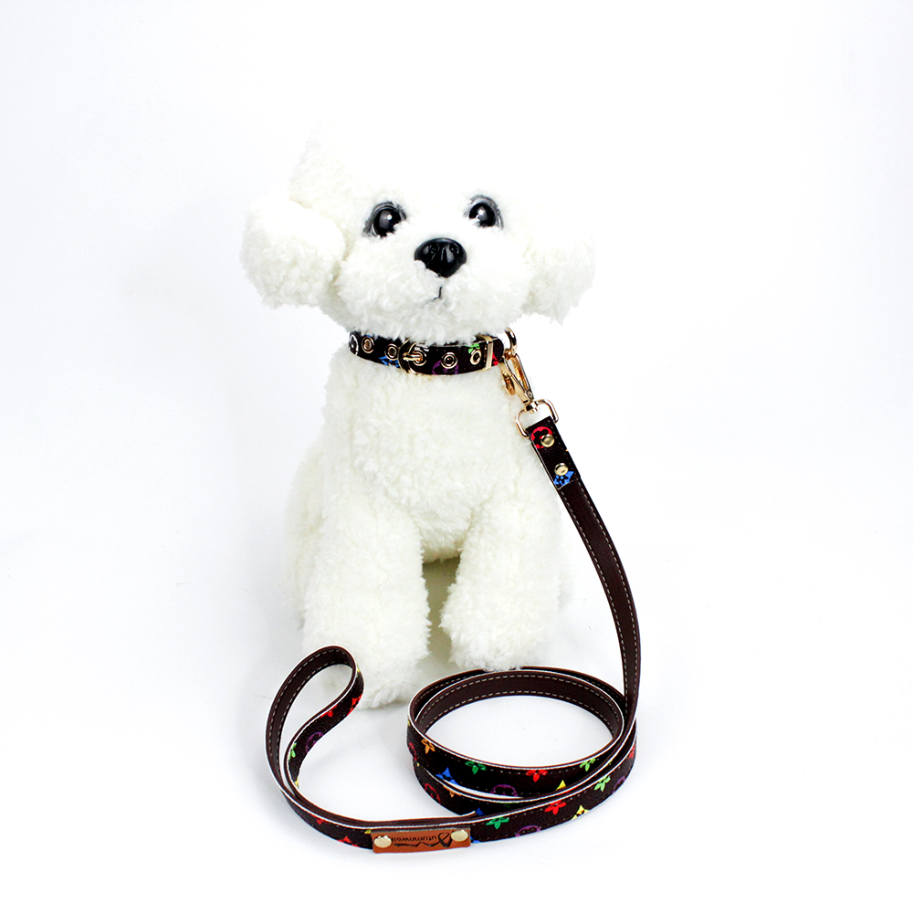 Ing Tear Proof Durable Designers Leather Pet Dog Collar Leash With Golden Tag