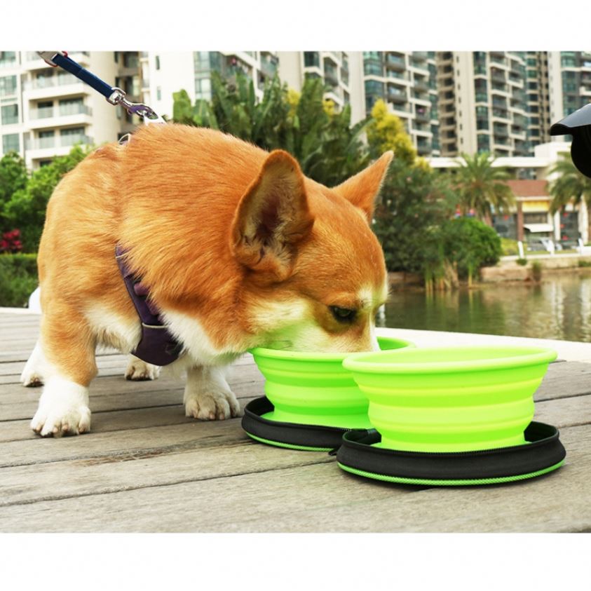 Ing Waterproof Foodgrade Travel Silicone Pet Bowl Set With Nylon Bag Your Pet
