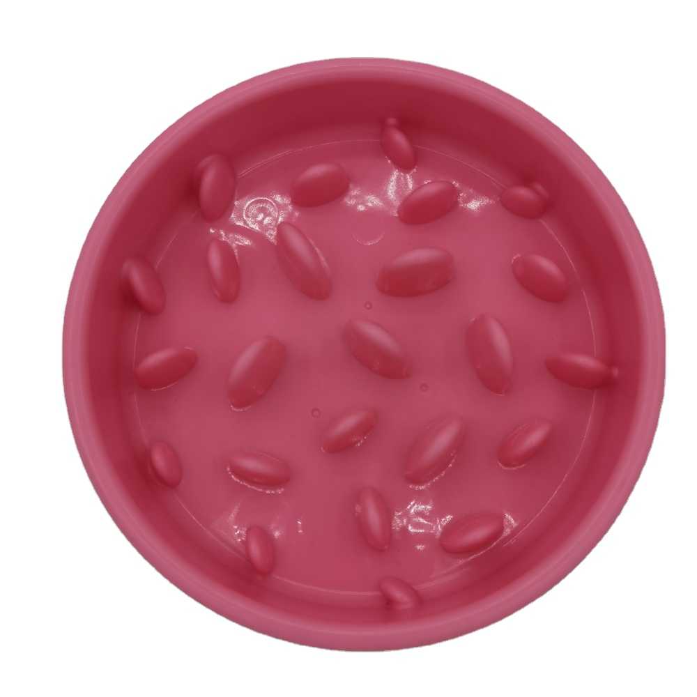 Interactive Anti Choke Slow Pet Feeder Bowl Dogs