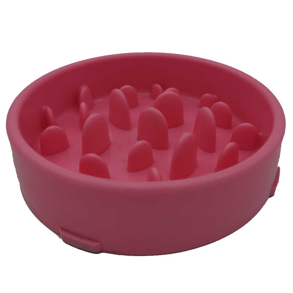 Interactive Anti Choke Slow Pet Feeder Bowl Dogs