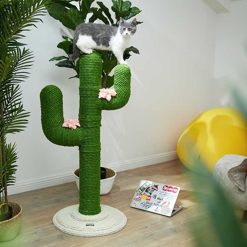 Manufacture Zhejiang Simple Small Cat Furniture Tree Scratch Post Cactus Cat Tree