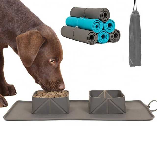 Outdoors Travel Pet Feeding Folding Silicone Mat Dog Bowls With Mat