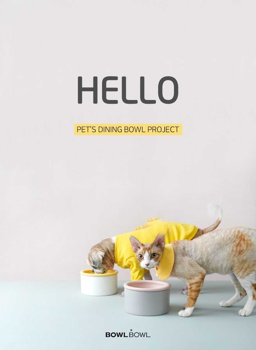 Pet Bowl From Korea Ceramic Bowl Stone Bowl Pet Feeder Stone Feeder Ceramic Feeder Food Storage Utensil