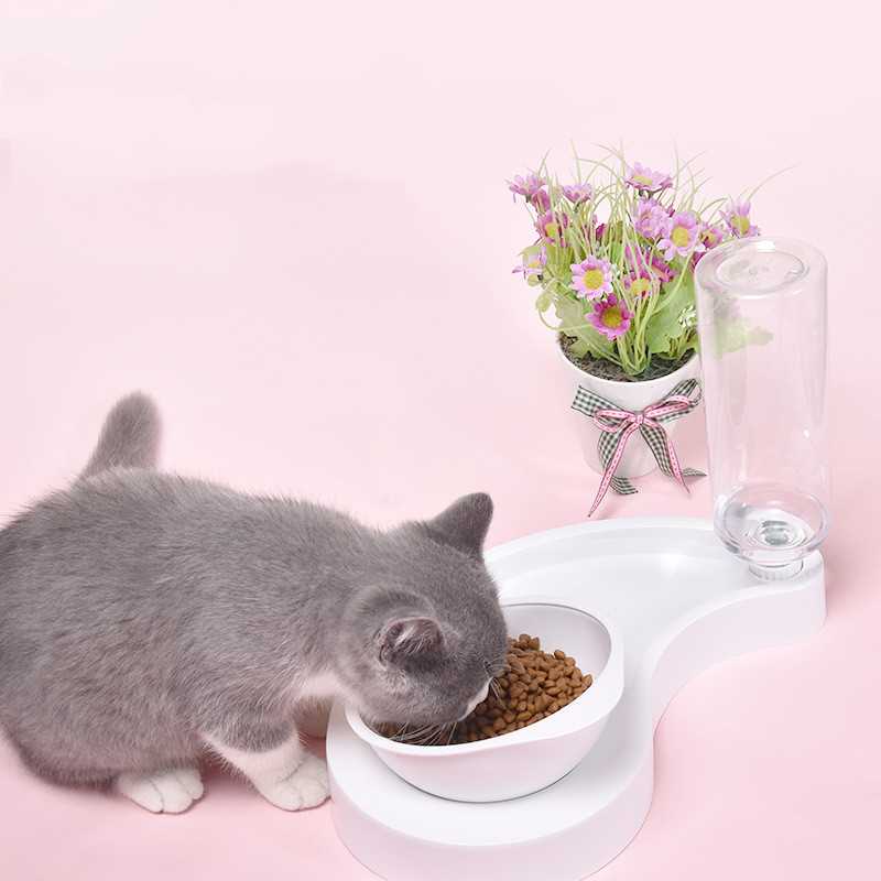 Pet Double Bowl Automatic Water Dispenser Food Dog Food Bowl Cat Water Bowl Pet Tableware