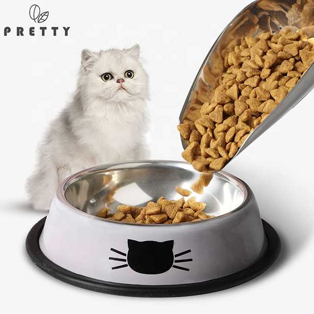 Pet Products 31mm Eco Stainless Steel Cat Food Bowl Outdoor Pet Bowl Cat