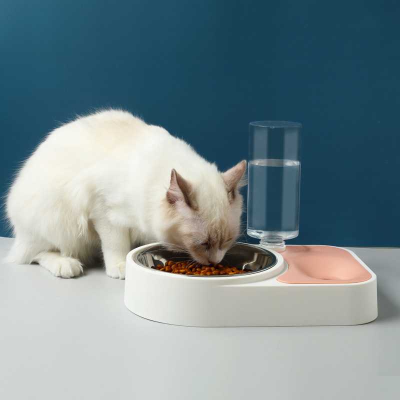 Pet Selffeeding Device Drink Bowl Water Feeder Cat Water Bottle Vertical Selfservice Pet Drinker BOW0010189