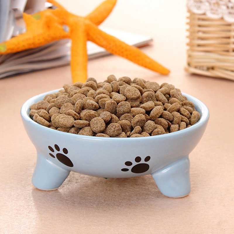 Ready To Ship Ceramic Cat Dog Cartoon Pet Food Porcelain Bowl