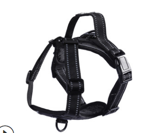 Scalable Soft Pet Mesh No Pull Dog Harness With Adjustable Dog Rope