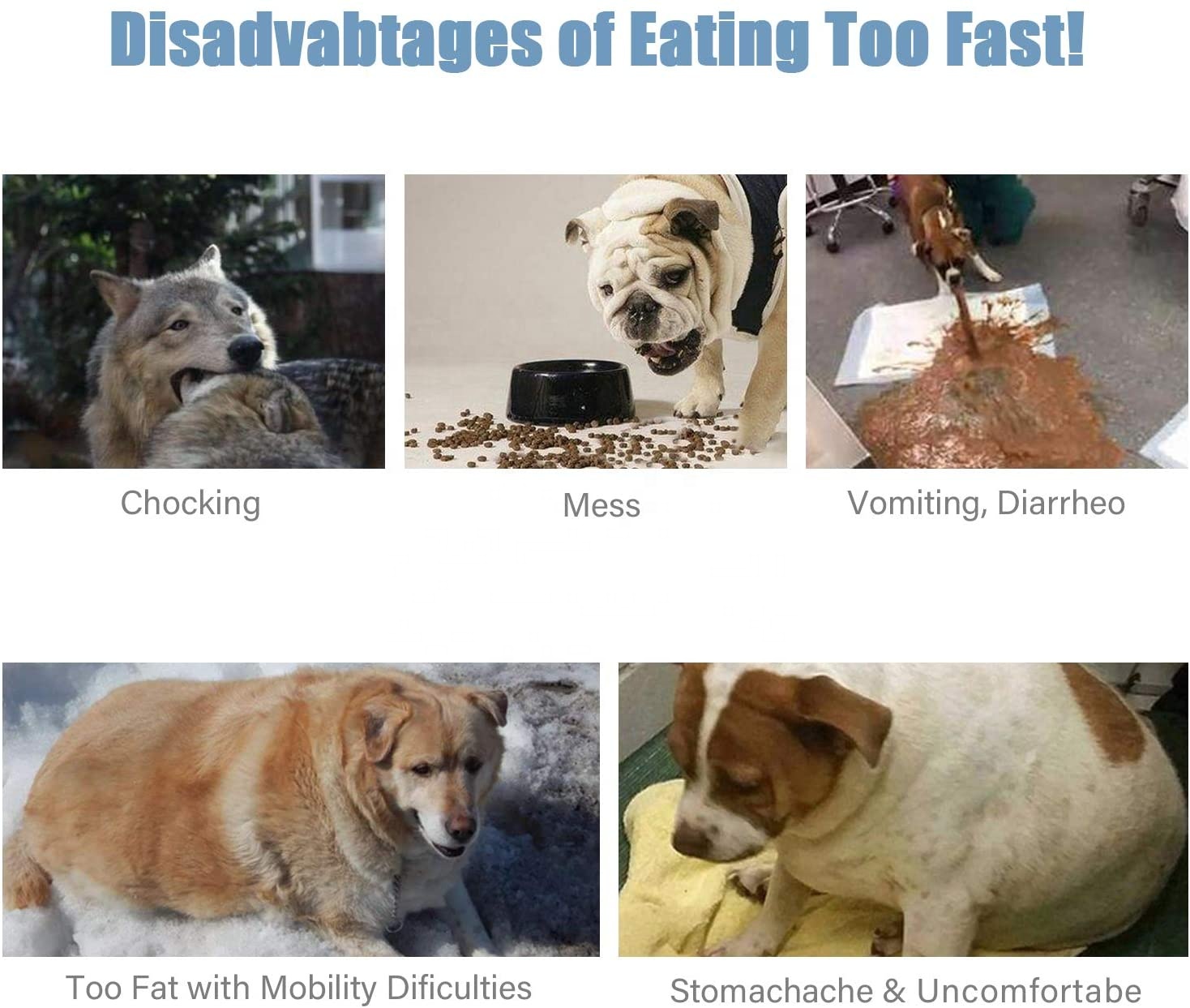 Slow Feeder Bowl AntiChoke Pet Bowls Healthy Food Fun Pets Water Bowl Dog Puppy